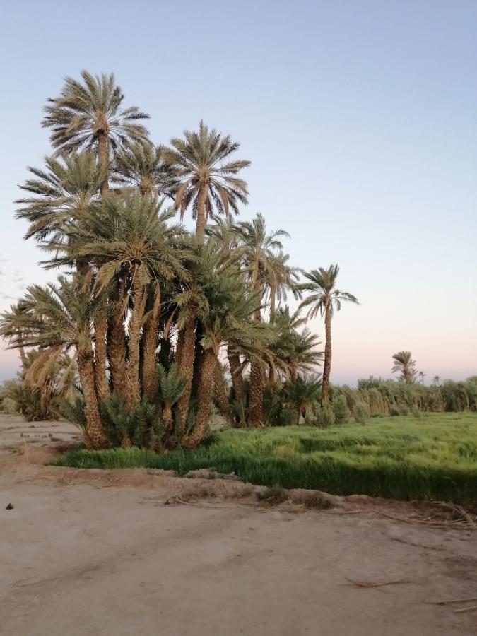 Gite Ait Lmaalam Chez Ahmed สกูรา ภายนอก รูปภาพ